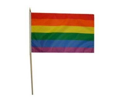 Regenbogen 30 x 46 cm Stockflagge Rainbow Fahne Nr. 531